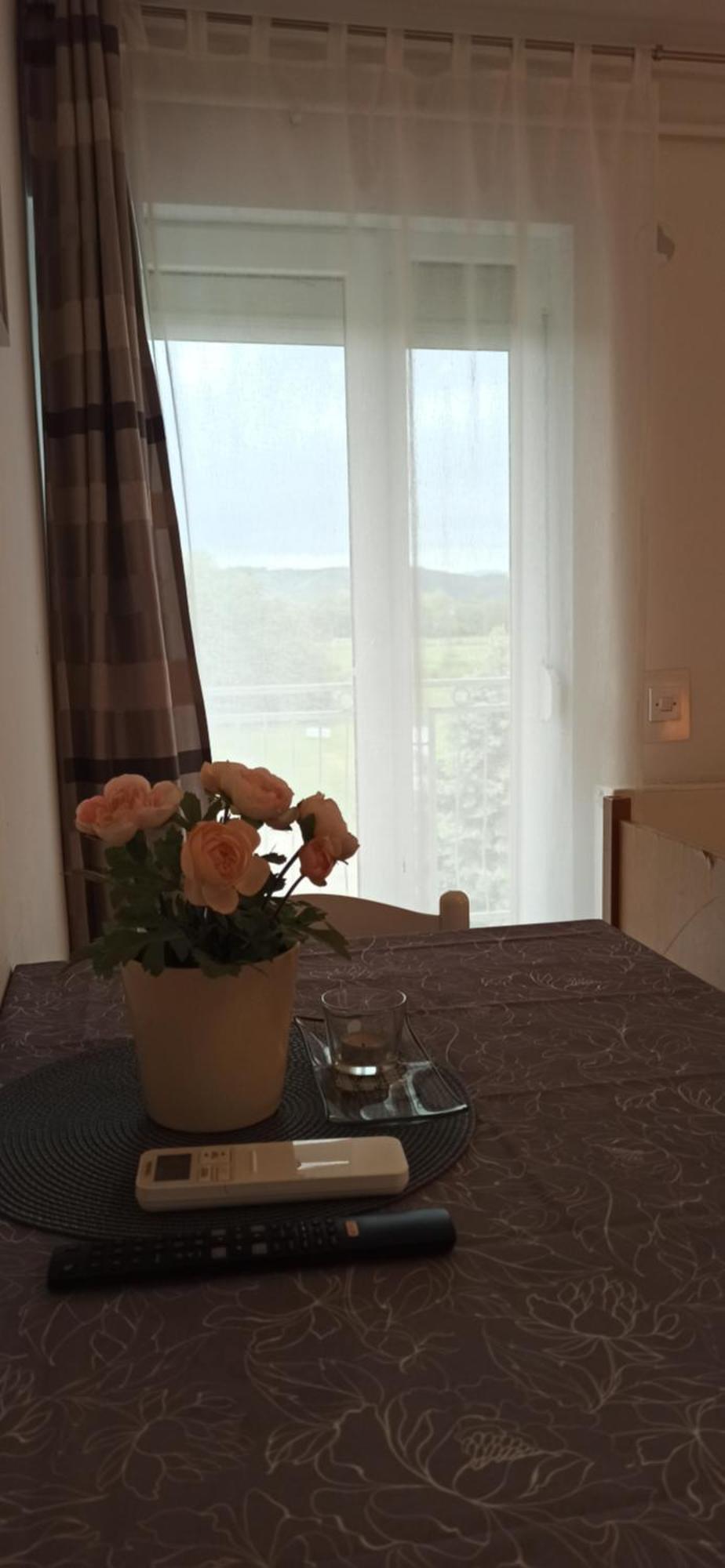 Studio Apartmani Ok Lipik Szoba fotó